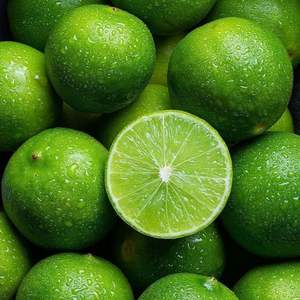 Limón Fresco a Precio de Mayoreo / Lima Sin Semillas Rica en Nutrientes, Suministro al por Mayor - Product Image 5