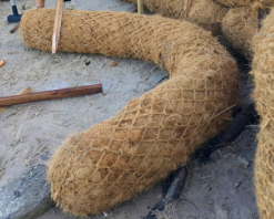 Proveedor de troncos de fibra de coco de Vietnam 100% Fibras naturales de coco - Product Image 2