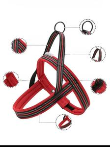 Conjunto de Correa y Arnés de Estilo Clásico para Perros Pequeños, Hecho de Nailon con Malla Transpirable, de un Proveedor Vietnamita - Product Image 4