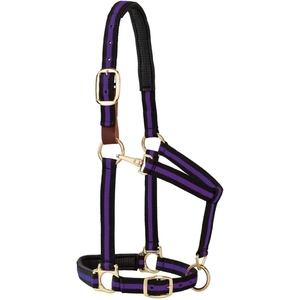 High Quality Kandari Sports Horse Riding Customized Classic PP Material Durable Comfortable Equestrian Fashionable Rope <b>Halters</b> - Product Image 3