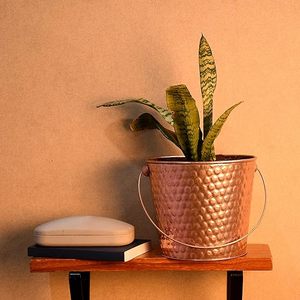 ถังโลหะสำหรับปลูกต้นไม้ในสวนใช้ในบ้านดีไซน์เป็นเอกลักษณ์ - Product Image 3