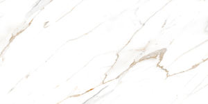 Baldosas de porcelana vitrificada respetuosas con el medio ambiente a prueba de agua 100%, 600X1200mm, garantía moderna de más de 5 años hecha en la India para uso Personal - Product Image 2