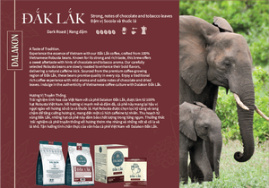 กาแฟคั่วบดละเอียด ดาลาคอน รสขมเข้มข้น 100% โรบัสต้า คุณภาพสูง รับผลิตแบบ OEM/ODM จากเวียดนาม บรรจุถุงใหญ่ มีคาเฟอีน - Product Image 4