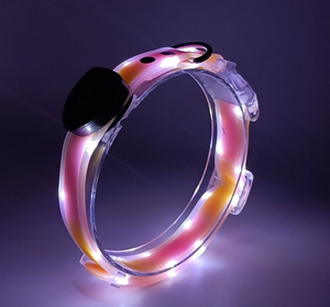 Collier et laisse pour animaux de compagnie personnalisés, réfléchissants et lumineux à LED, rechargeables par USB, sécurité nocturne pour chats et chiens - Product Image 5