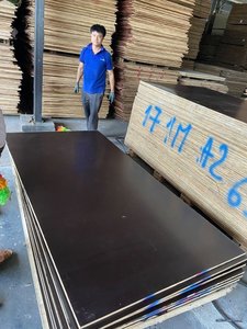 Paneles de Madera Contrachapada Recubiertos con Película Moderna de Acacia y Eucalipto, Impermeables, para Construcción de Hoteles, Encofrado de 15 mm y 18 mm - Product Image 2