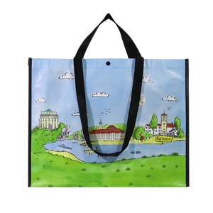 Bolsas de Compras al por Mayor Reciclables con Logotipo Personalizado, Laminación Metálica Plateada y Dorada, Sin Tejido, con Asas, Fábrica Vietnamita, Marca CENPLAS - Product Image 3