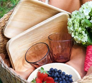 จานไวน์ทรงสี่เหลี่ยม8นิ้วใบอาเนก้าธรรมชาติทนทานต่อการใช้งานเป็นมิตรต่อสิ่งแวดล้อมดีไซน์ล่าสุด - Product Image 2