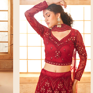 <span class=keywords><strong>Net</strong></span> lehenga mềm mại và thoáng khí, lý tưởng cho các bữa tiệc và họp mặt gia đình. - Product Image 1