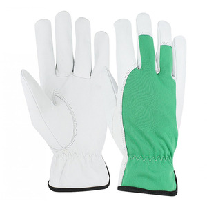 Guantes de piel de cabra de primera calidad con pulgar y dedos reforzados - Product Image 1
