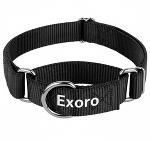 Collier d'entraînement pour chien en nylon double couche, solide, coloré, réglable, personnalisable, avec anneau en O, couture, vente en gros, 2026 - Product Image 4