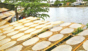 Formes carrées en papier de riz séché vietnamien 6 options de saveur insipide pour les enfants adultes boîte Contact + 84971629648 Ms. Lona - Product Image 5