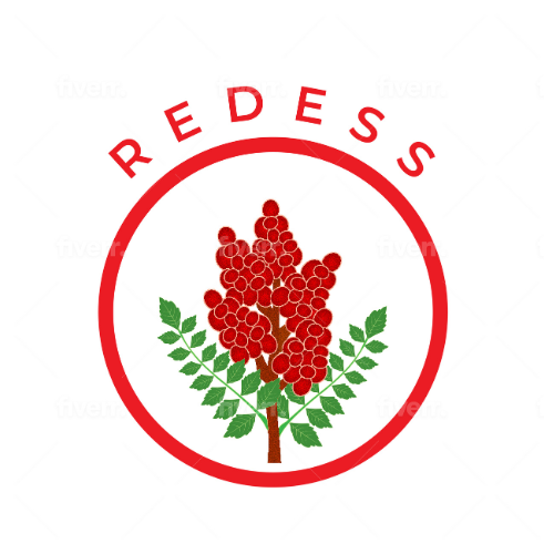 Redess srl logo