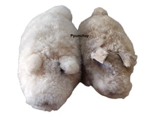 Peluche de Alpaca Mangalica, Juguete de Cerdo Ppunchay Perú, Suave y Bonito - Product Image 2