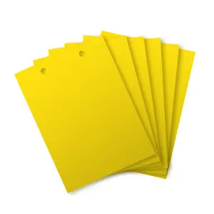 PC26 Armadilhas pegajosas de plástico amarelo não tóxicas para controle de pragas de insetos na agricultura