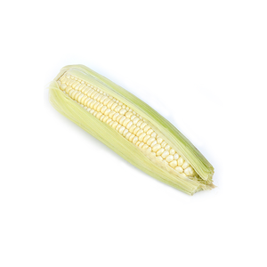 Maïs blanc de qualité supérieure pour la consommation humaine et l'alimentation animale - Product Image 6