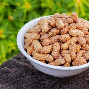 High Quality Organic Natural Shelled <b>Peanuts</b> Available at Competitive Prices - Product Image 2