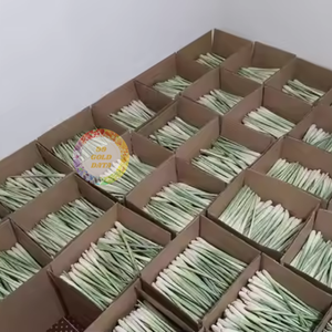 Hierba de limón congelada de alta calidad de Vietnam, sin OMG, en rodajas/entera/picada, la más popular exportada en todo el mundo-Caryln 0084935825297 - Product Image 1