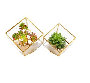 Metal & <b>Clear</b> Glass Tabletop Terrarium With Customized Finishing Hexagonal Shape Excellent Quality for Decoration . - Product Image 5