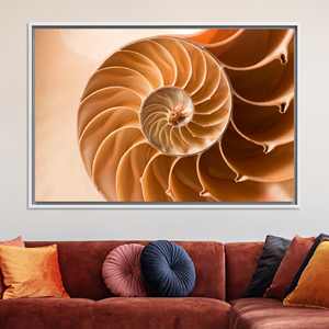 Arte de pared en lienzo con espiral de concha de Nautilus: impresión de la proporción áurea de la naturaleza, lienzo con marco blanco - Product Image 1