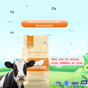 Prémélange minéral vitaminé pour additifs d'alimentation pour animaux <span class=keywords><strong>de</strong></span> vache <span class=keywords><strong>de</strong></span> remplacement Prémélange <span class=keywords><strong>de</strong></span> vache <span class=keywords><strong>de</strong></span> remplacement <span class=keywords><strong>Meilleur</strong></span> prix Prémélange <span class=keywords><strong>de</strong></span> vache - Product Image 4