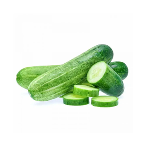 Dưa chuột thái lát Hữu Cơ tươi cấp một chân không đóng gói cho các nhà hàng và quán bar salad - Product Image 6