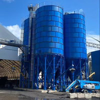 Silo di Stoccaggio Cemento in Acciaio Tipo Imbullonato da 1000 Tonnellate al Miglior Prezzo, Consegna Immediata, Alta Efficienza, Costruzione a Basso Costo