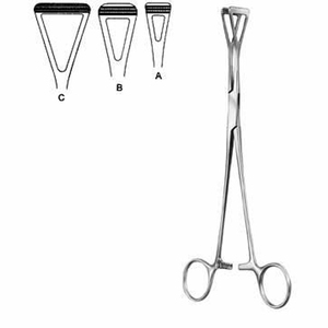 INTESTINES & STOMACH - Product Image 6