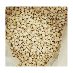 เมล็ดบัวขาวเกรดพรีเมียมจาก99 GD สำหรับอาหารตรงตามมาตรฐานการส่งออก - Product Image 5