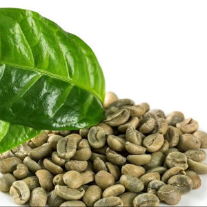 Granos de Café Verde Robusta de Vietnam, Especialidad USDA, Tamaño 18, Grado G1/G2, Calidad Premium, Certificado ISO 22000, Bolsas de 1000 kg, Venta al por Mayor - Product Image 1