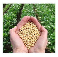 Vente en gros de soja biologique non-OGM, soja jaune, graines de soja