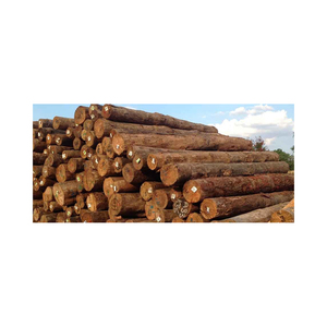 E Chips Secas Raw Animal Cama de Madeira Serragem e Logs Melhor Preço 100% raw <span class=keywords><strong>Pine</strong></span> Wood Logs/madeira Na Melhor - Product Image 5