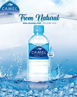 Eau minérale pure de marque Camel 500ml emballée dans une bouteille en plastique OEM ODM FMCG Fabricant de boissons du Vietnam