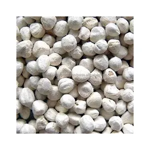 Großhandel Bulk Selling Bio Moringa Samen Premium Grade High Nutrition Protein Moringa Oleifera Samen Ex-Fabrik für menschliche Nachteile