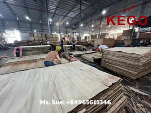 Contrachapado de Primera Clase con Revestimiento de Película y Superficie de Melamina con Logotipo Personalizado E2 Elm, Solo 19 USD/Pieza para Uso en Exteriores - Product Image 3