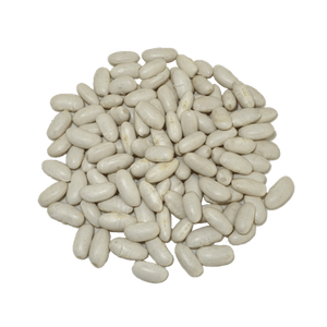 Haricot blanc de qualité supérieure, Phaseolus vulgaris, qualité alimentaire, qualité fourragère, nettoyé, trié, humidité de dix à douze pour cent, riche en protéines - Product Image 4