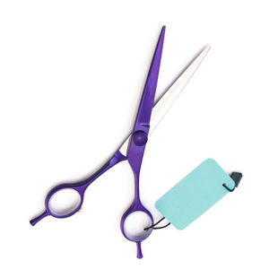 Tijeras de corte de pelo Tijeras de peluquero rectas de acero inoxidable para belleza y peinado profesional - Product Image 2