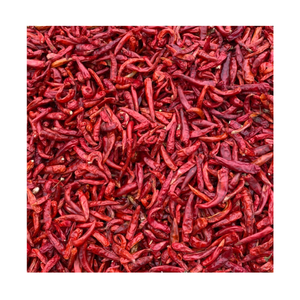 Chile seco entero Origen de Vietnam Chile secado al sol Pimiento rojo Embalaje a granel Chile seco picante para la industria de procesamiento de alimentos de exportación - Product Image 1