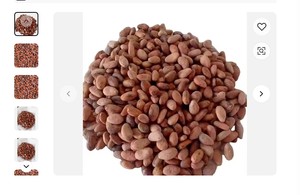 Cao Cấp Ngà Bờ Biển Nguyên Liệu Ca Cao Đậu-Chất Lượng Cao <span class=keywords><strong>Cacao</strong></span> Đậu - Product Image 5