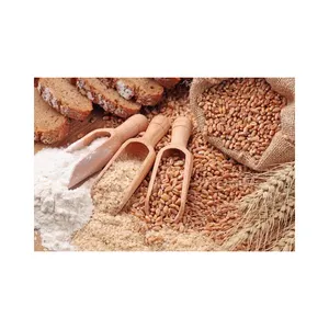 Bán buôn cám lúa mì Nhà cung cấp rơm lúa mì cám lúa mì cho thức ăn chăn nuôi