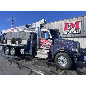 Grue de camion MANITEX 2025 26101C - Product Image 4