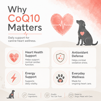 Capsules de Coenzyme Q10 en vrac pour animaux de compagnie, marque privée OEM, CoQ10 pour chiens, bien-être cardiovasculaire, antioxydant, supplément d'énergie cellulaire