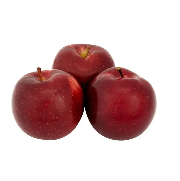 Mejor Calidad Fresh Empire Manzanas | Granny Smith Manzanas | Winesap Manzanas Fresh Stock a granel Exportaciones al por mayor