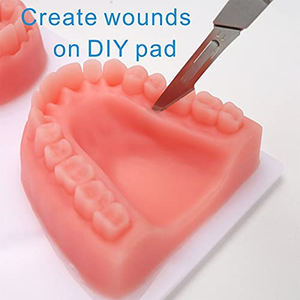 Almohadilla de práctica de sutura Dental de alta calidad para entrenamiento de odontología, Kit de entrenamiento de sutura Oral para estudiantes de escuela Dental - Product Image 5