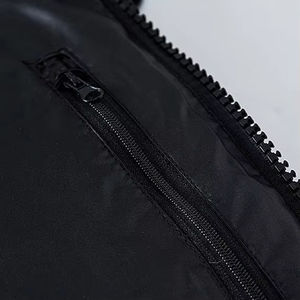 Veste matelassée en toile surdimensionnée 2026, col montant, style streetwear, veste d'hiver pour homme, mode hip-hop - Product Image 4