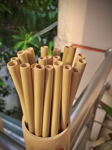 Pajitas Desechables de Bambú Biodegradables, Color Amarillo Claro Natural, Pajitas Reutilizables para Bebidas, Cócteles, Fiestas, Bares y Cafés - Product Image 3
