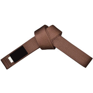 Pakistán Fabricación de alta calidad Unisex BJJ GI cinturones nuevo estilo precio bajo al por mayor para ropa de artes marciales Unisex BJJ cinturón - Product Image 1