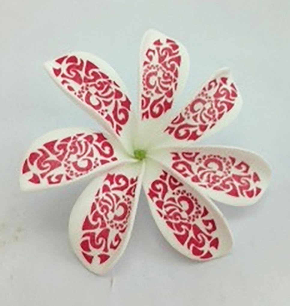 S406: ขาวแดง