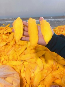 Wholesale High Quality <b>Sweet</b> Snack 100% Material Fresh Mango Sliced Soft Dried Mango - BLUE LOTUS From Vietnam - Product Image 2
