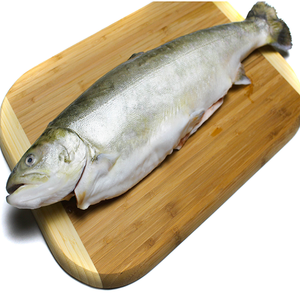Salmón Congelado Alemán de Primera Calidad en Oferta, 10 kg 12 kg, Embalaje en Cartón, 12 Meses de Duración, Entrega Rápida DDP CIF - Product Image 6