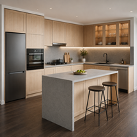 Proveedor OEM de Gabinetes de Cocina Estilo Shaker para Mayoristas, Distribuidores, Constructores y Proyectos Residenciales de Marca Privada